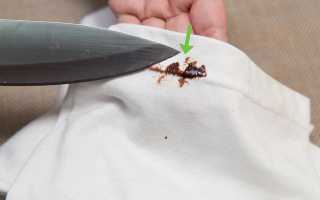 Очистить одежду от шоколадного пятна: проверенные методы и средства для эффективного удаления