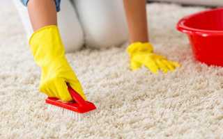Как стирать ковер в домашних условиях и какой порошок можно использовать для лучшего результата