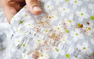 Как вывести пятно плесени с одежды и ткани, чем можно убрать грибок эффективно и безопасно