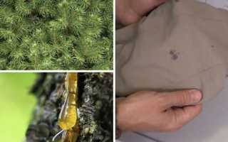 Как и чем вывести смоляные пятна с вещей эффективно и быстро