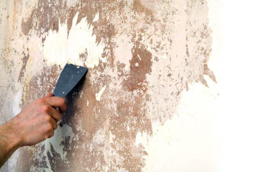 Обнажившаяся цементная штукатурка не подойдет для обоев