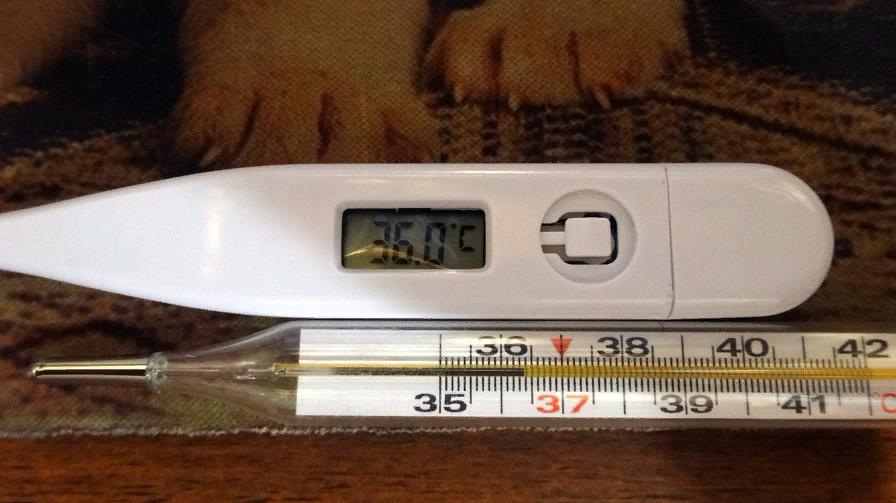 Лучше положить термометр на поверхность стола такой же высоты