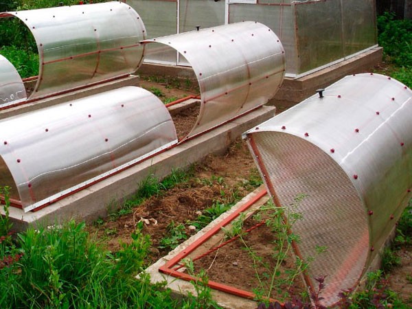 Поликарбонатные парники