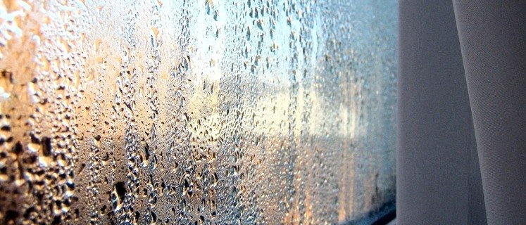 Сильный конденсат на окнах может быть показателем неверно установленной точки росы
