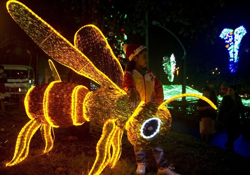 Световое оформление дюралайтом