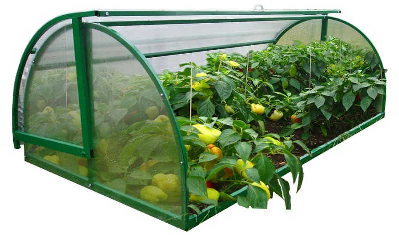 У таких парников есть ряд преимуществ