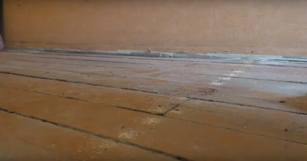 Вначале пол осматривается