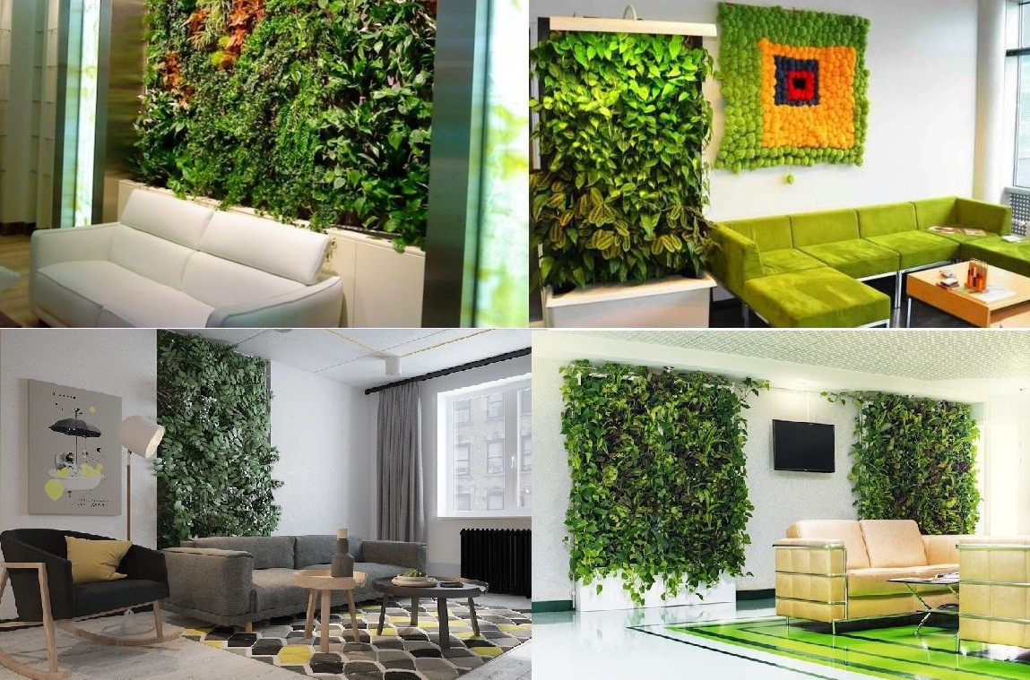 Фитостена - оригинальное решение для жилых помещений