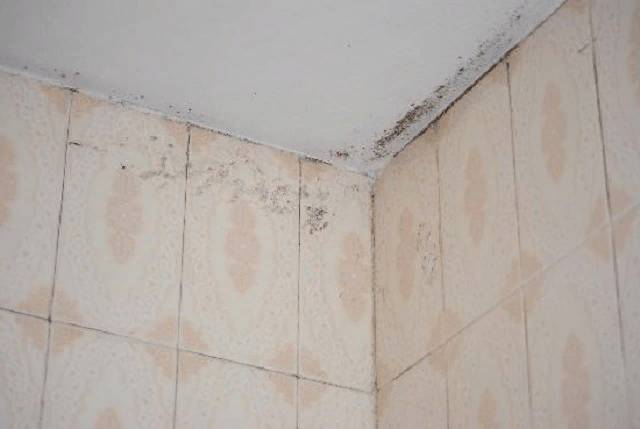 Чаще всего активность грибков наблюдается на стенах сверху, откуда пятна распространяются на потолок