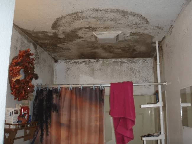 Если вовремя не остановить распространение плесени, то темные пятна появятся и в других комнатах