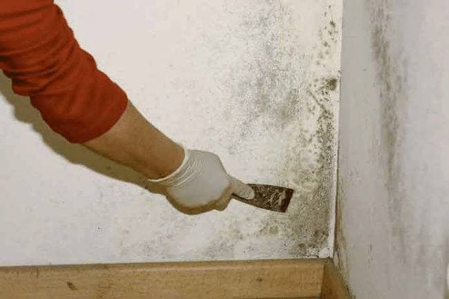 Механическим путем получится удалить незначительные скопления грибка