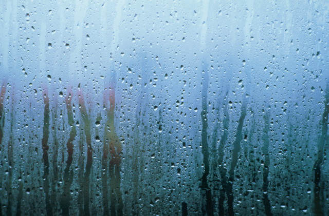 Запотевшие стекла